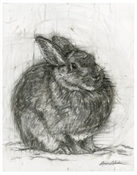 Contentment, Round Rabbit