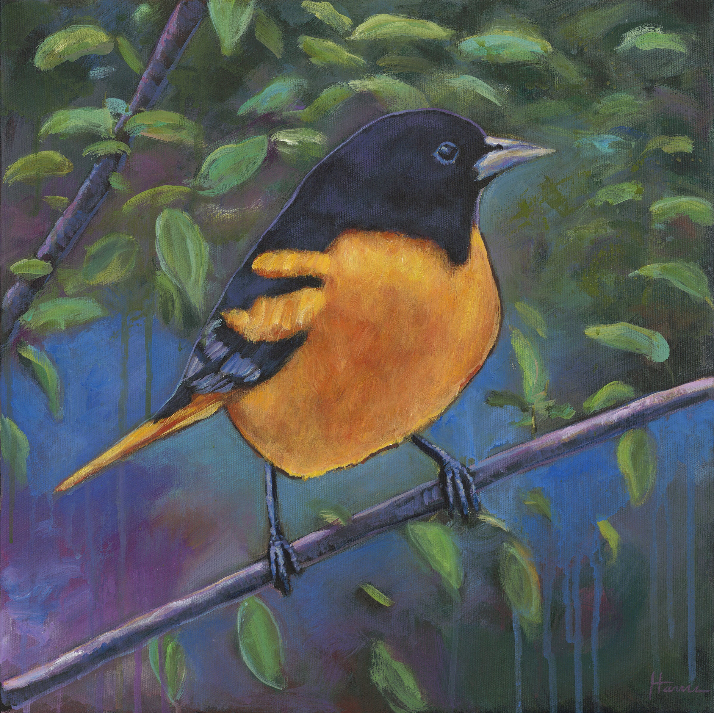 Oriole