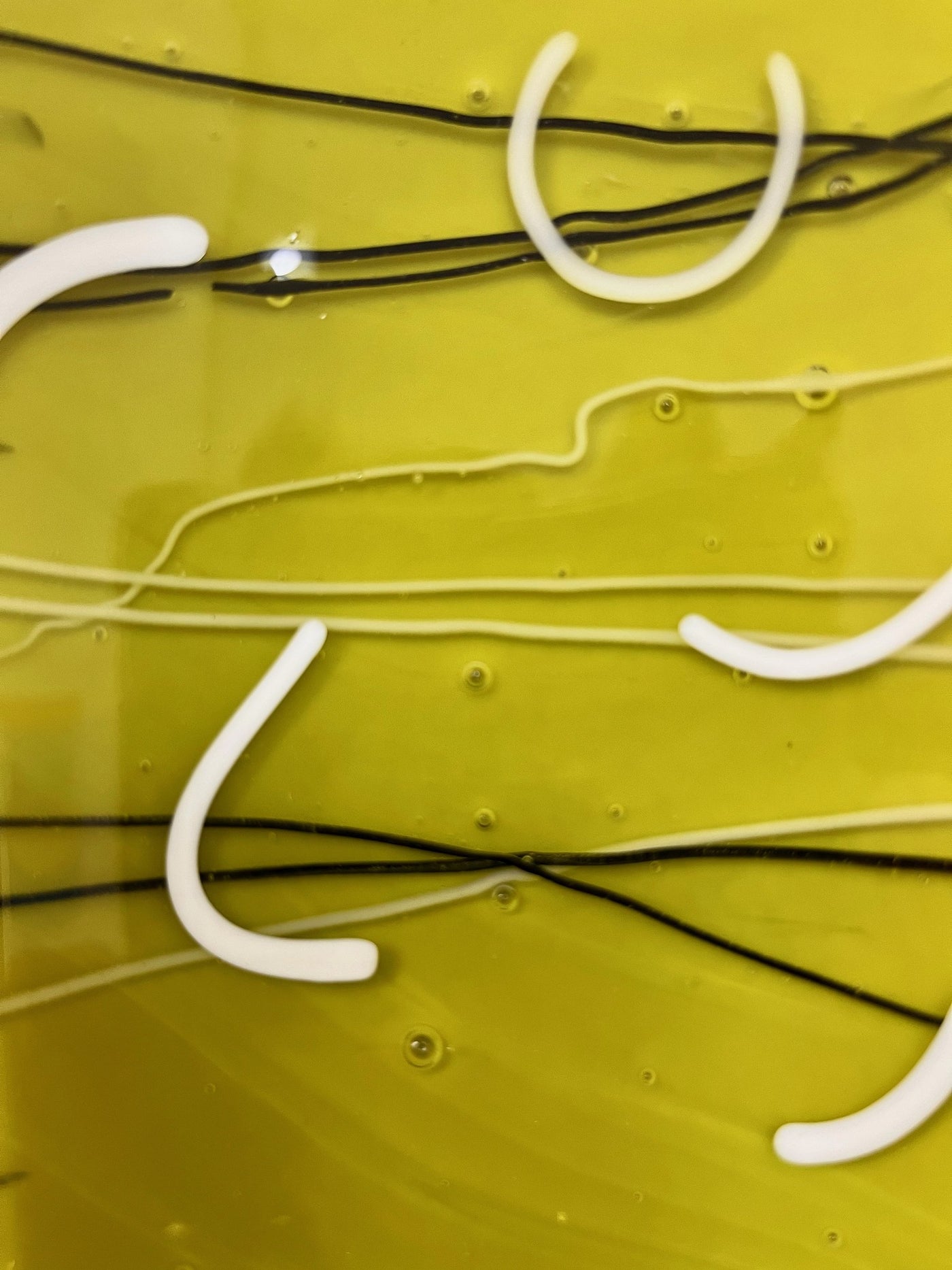 White Arcs on Green Platter