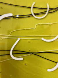 White Arcs on Green Platter