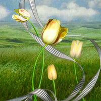 ElevenDays