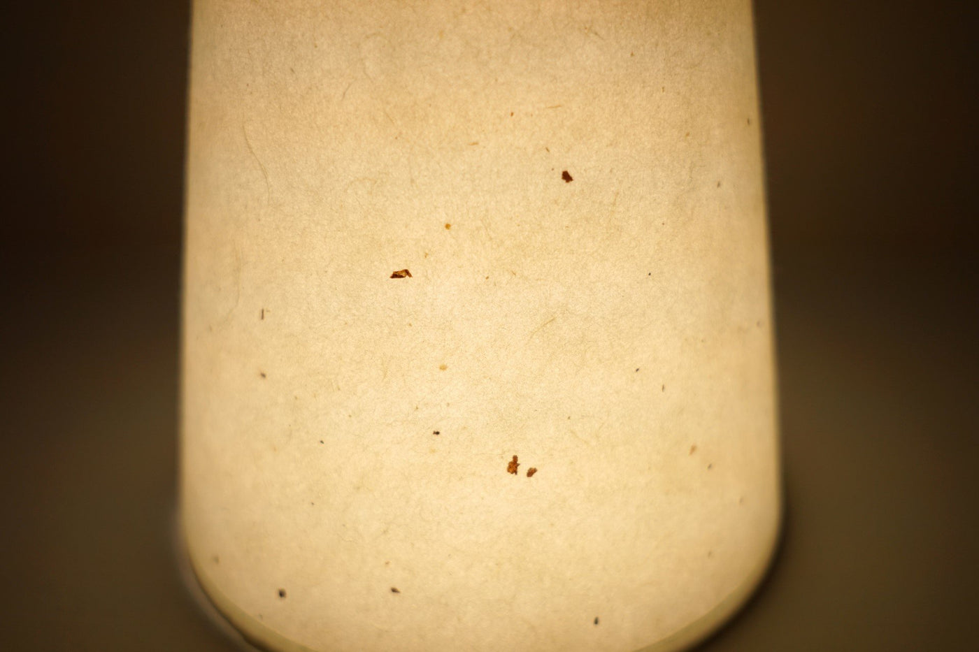 Bent Table Lamp in Walnut