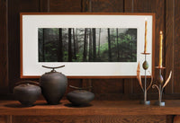 Quiet Forest
