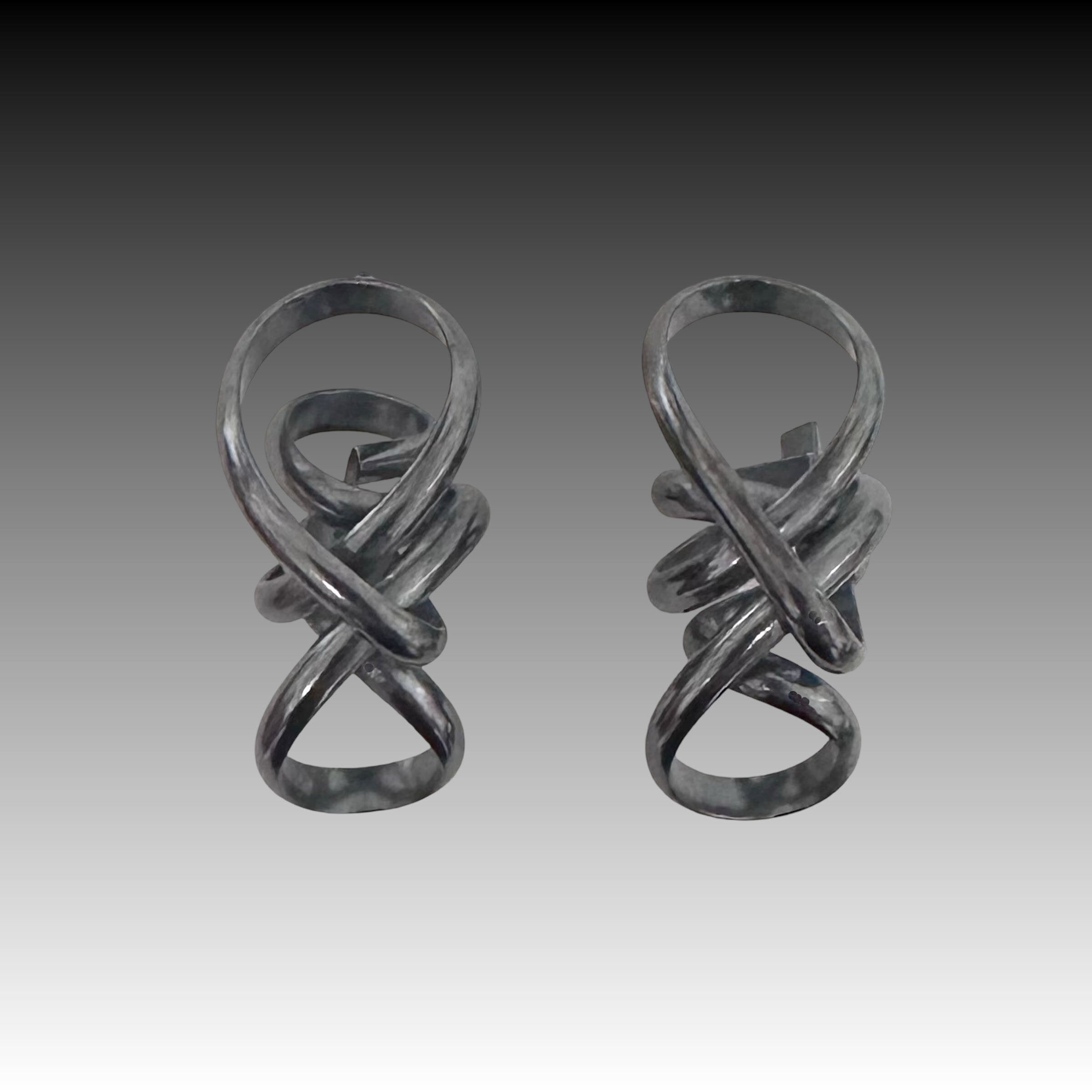 It's Not Calculus Earrings