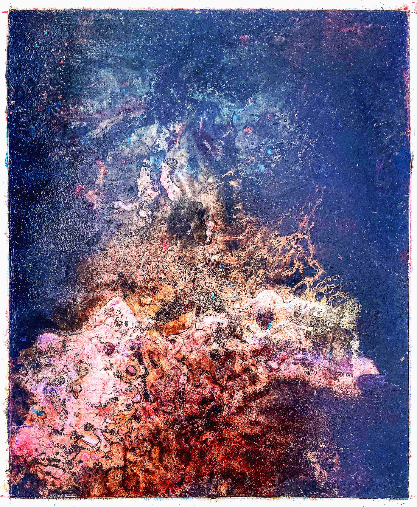 Corallium 37