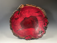 Natural Edge Ambrosia Maple (Dyed)