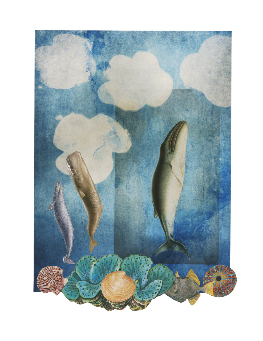 Resting Whale 1