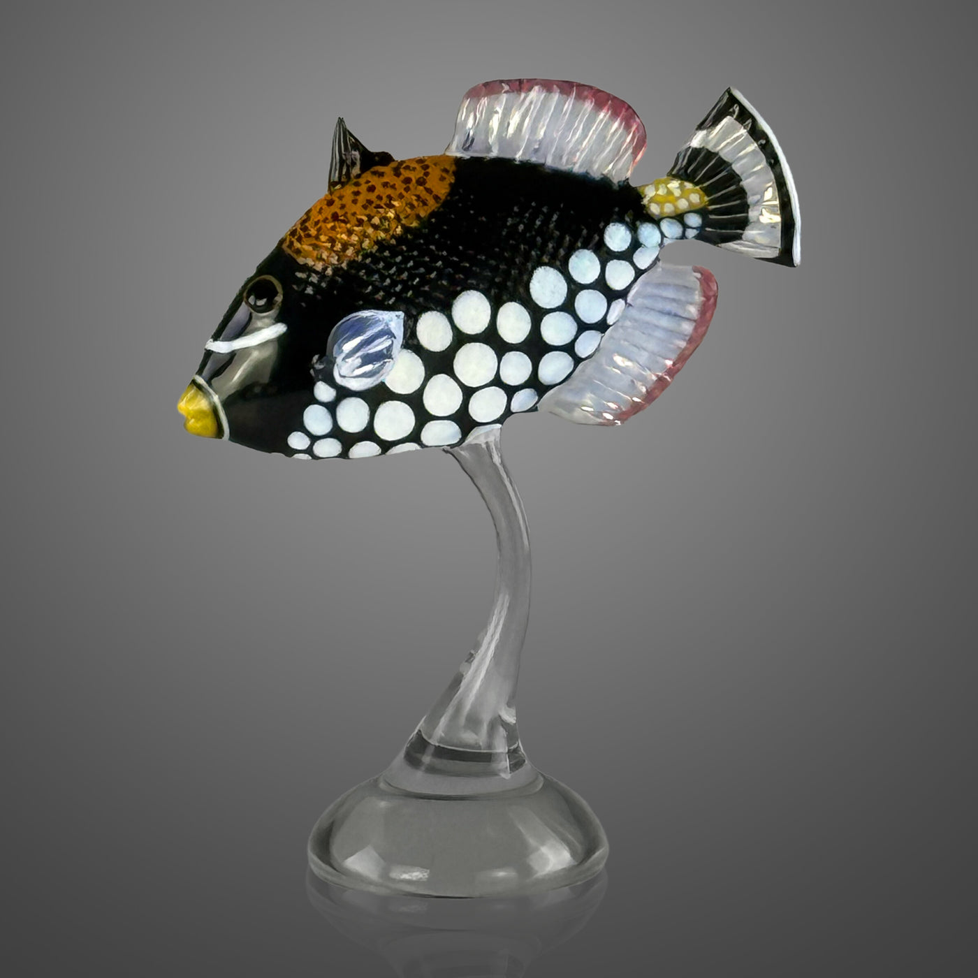 Clown Triggerfish