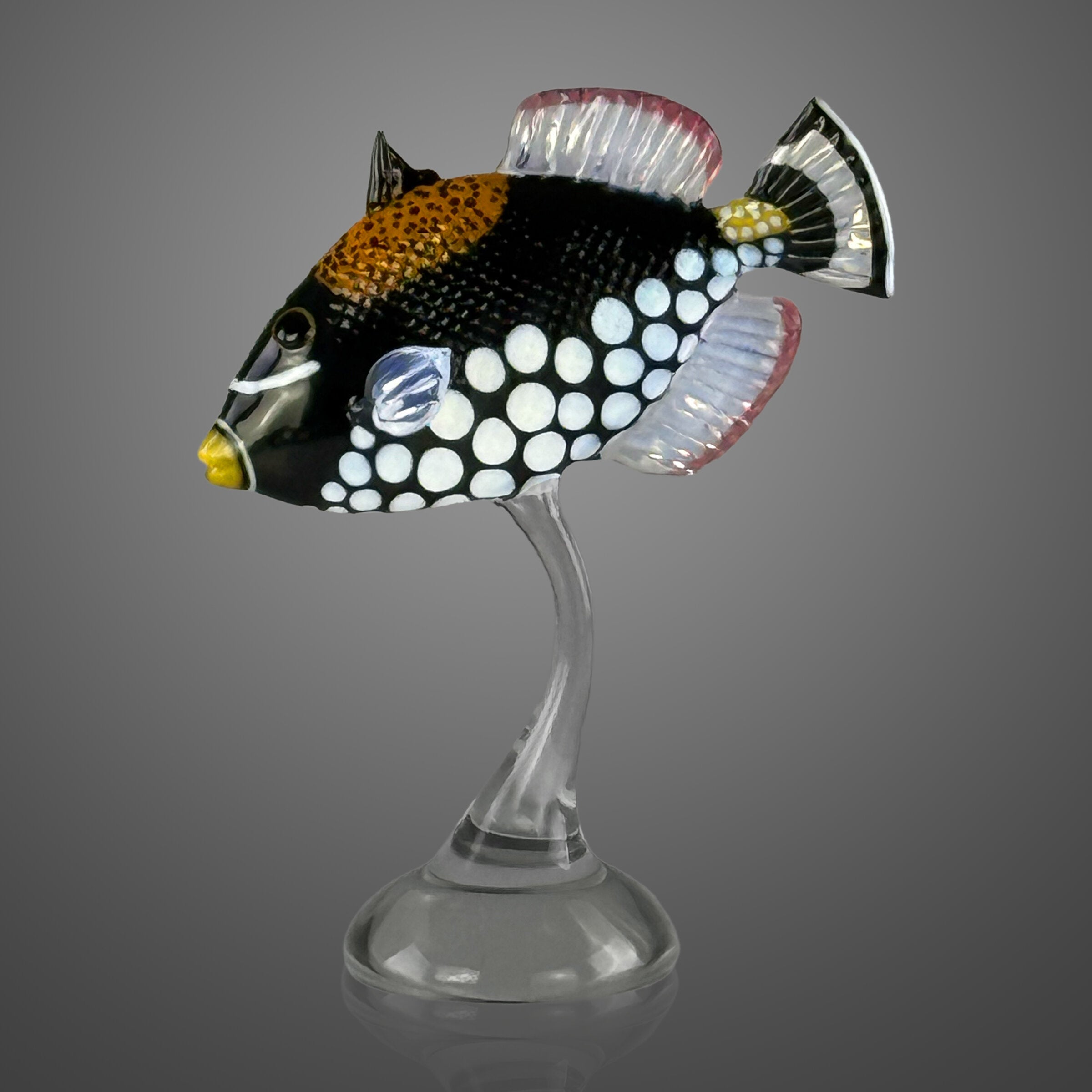 Clown Triggerfish