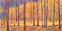 Shadows and Brights