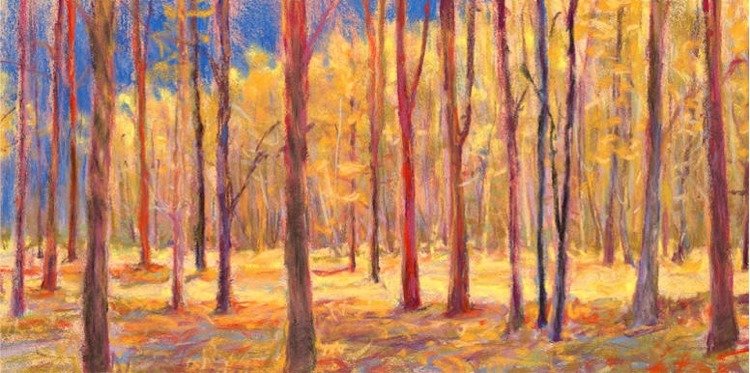Shadows and Brights