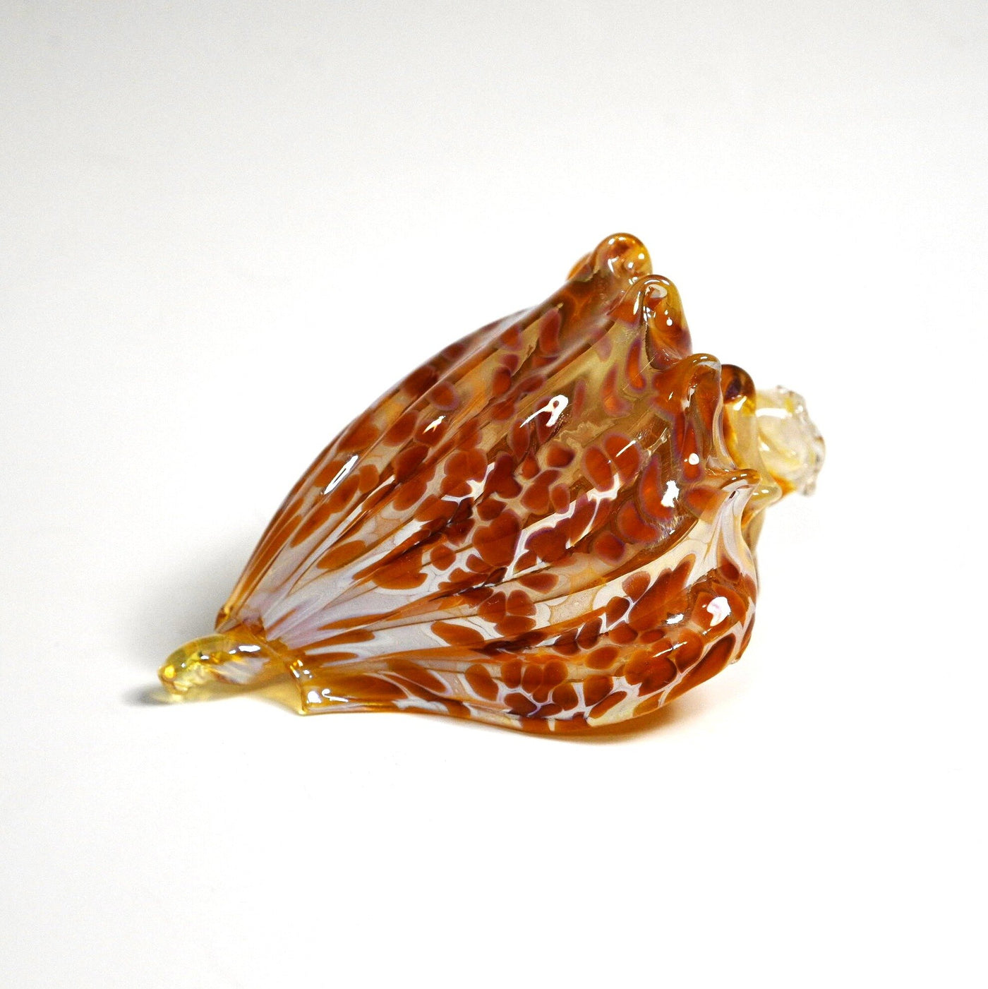 Small Cheetah Shell