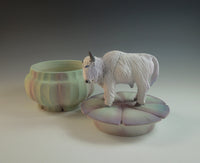 White Buffalo Box