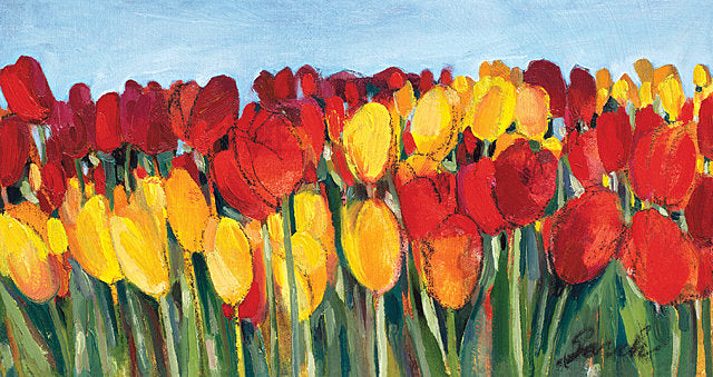 Red and Yellow Tulips