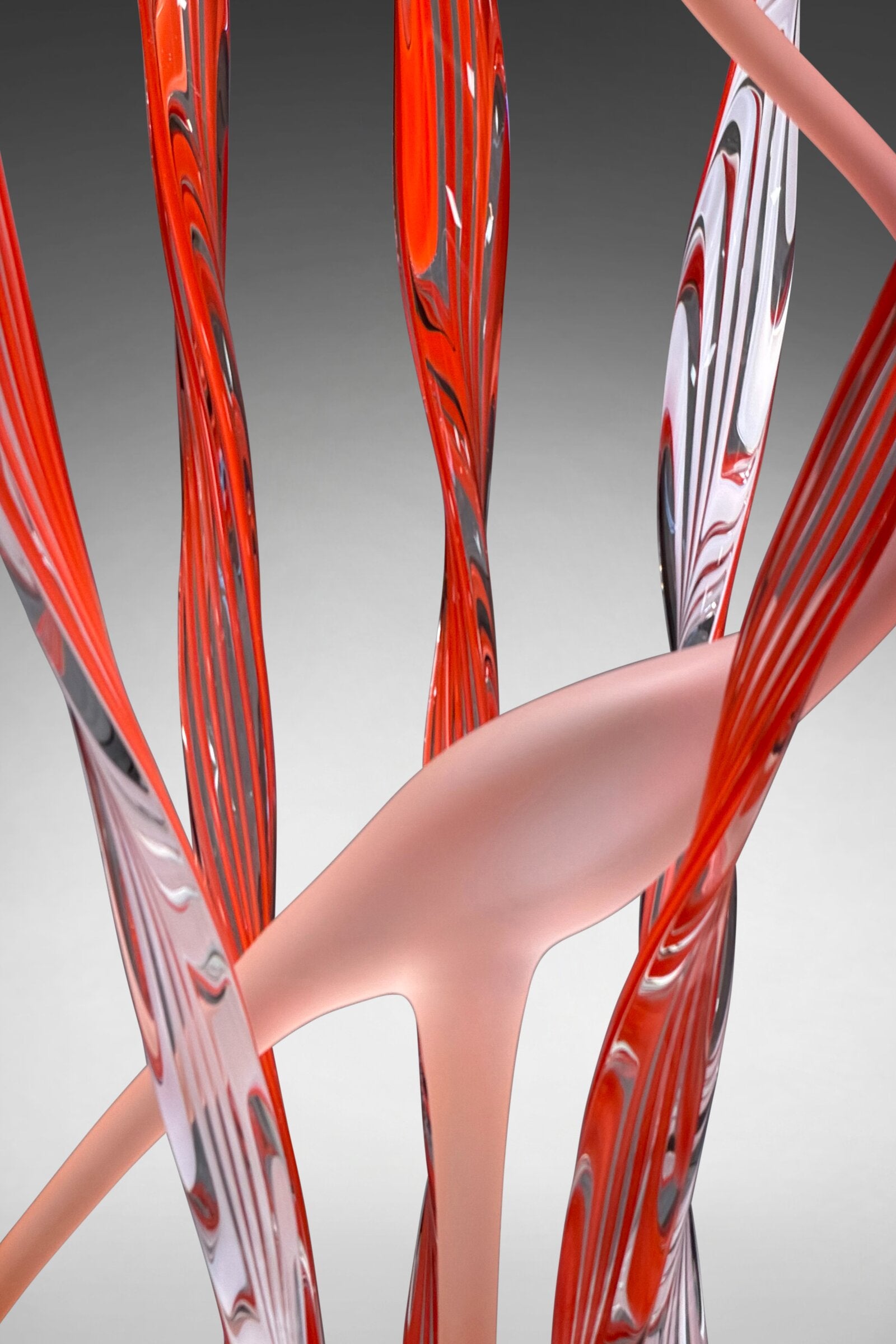 Heron's Cove I, Coral Passion