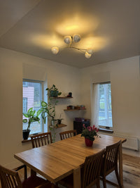 ClayLight Vine with Five Shades