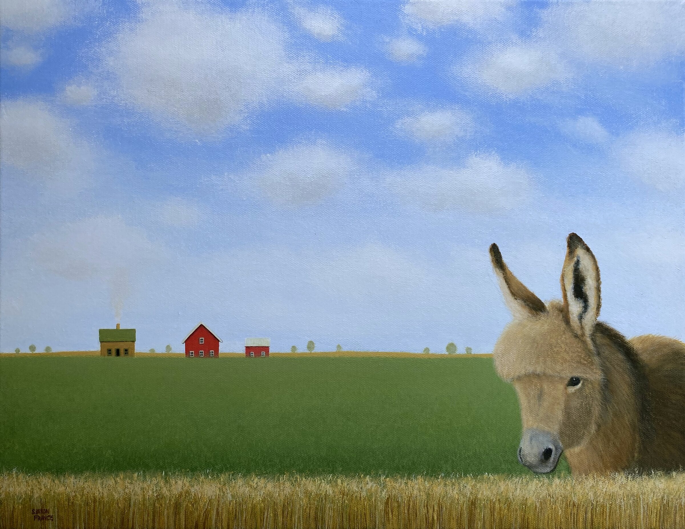Little Donkey
