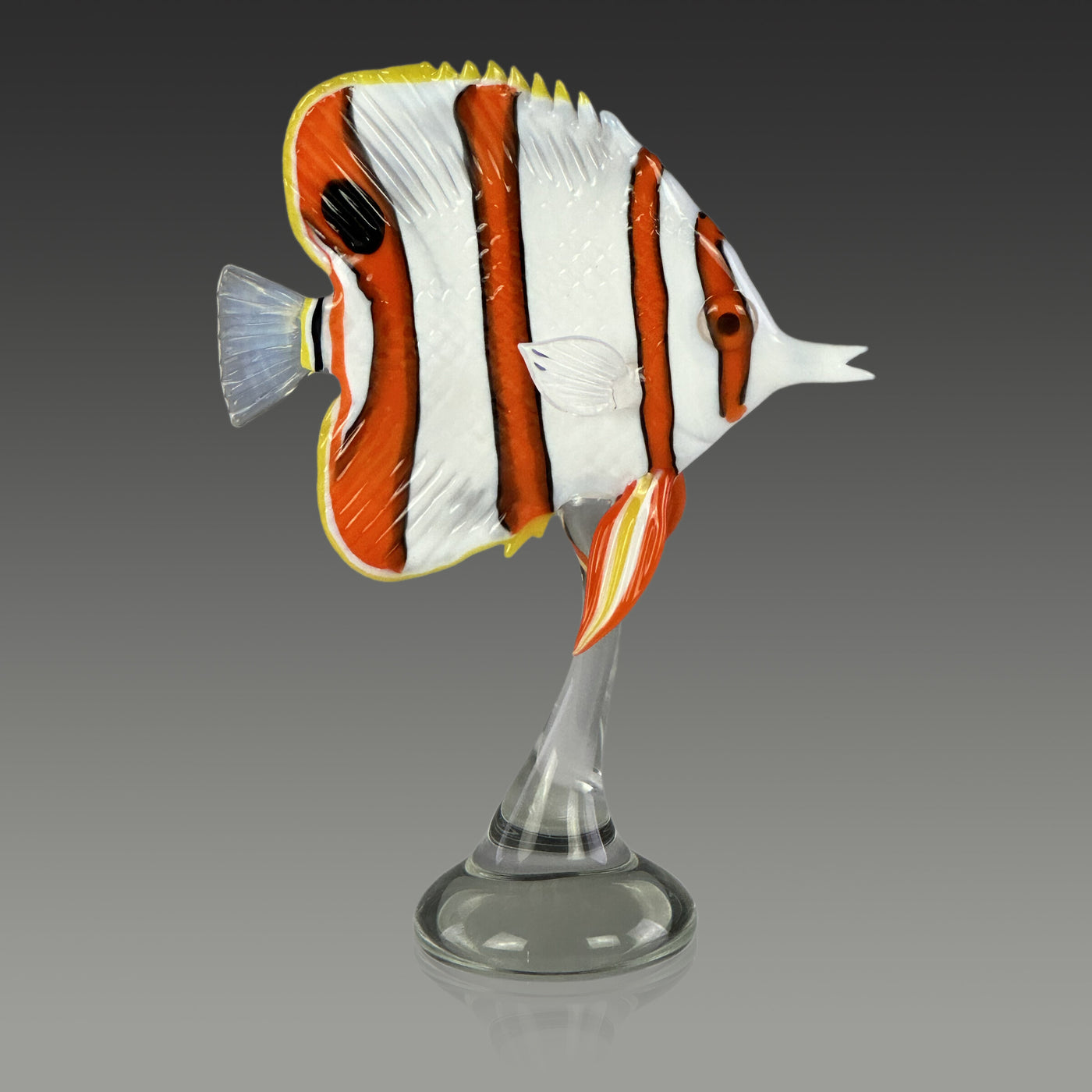 Copperband Butterflyfish II