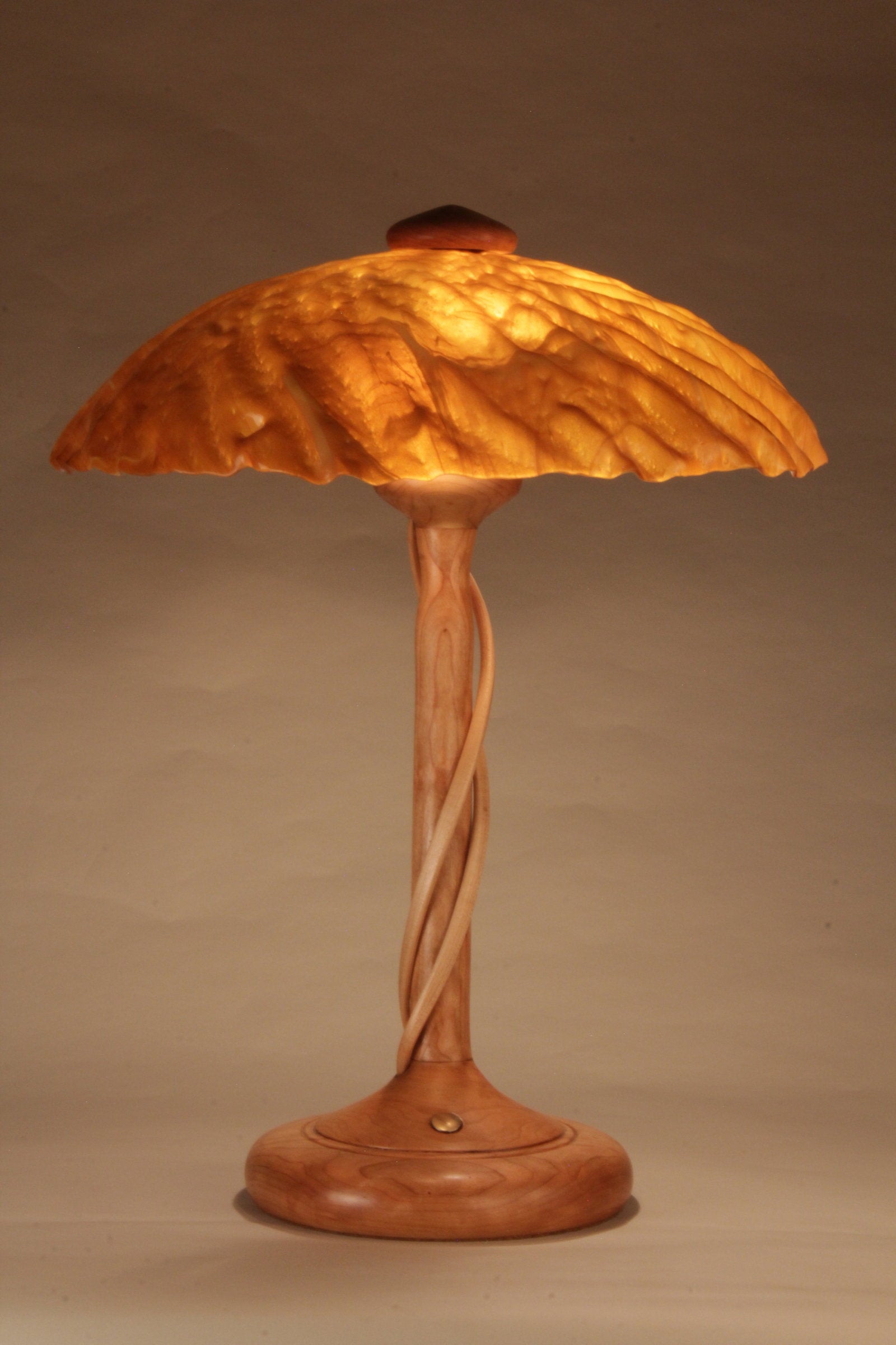Dark Amber Sunburst Shade 