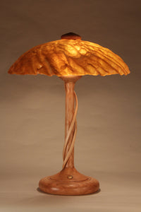 Dark Amber Sunburst Shade 