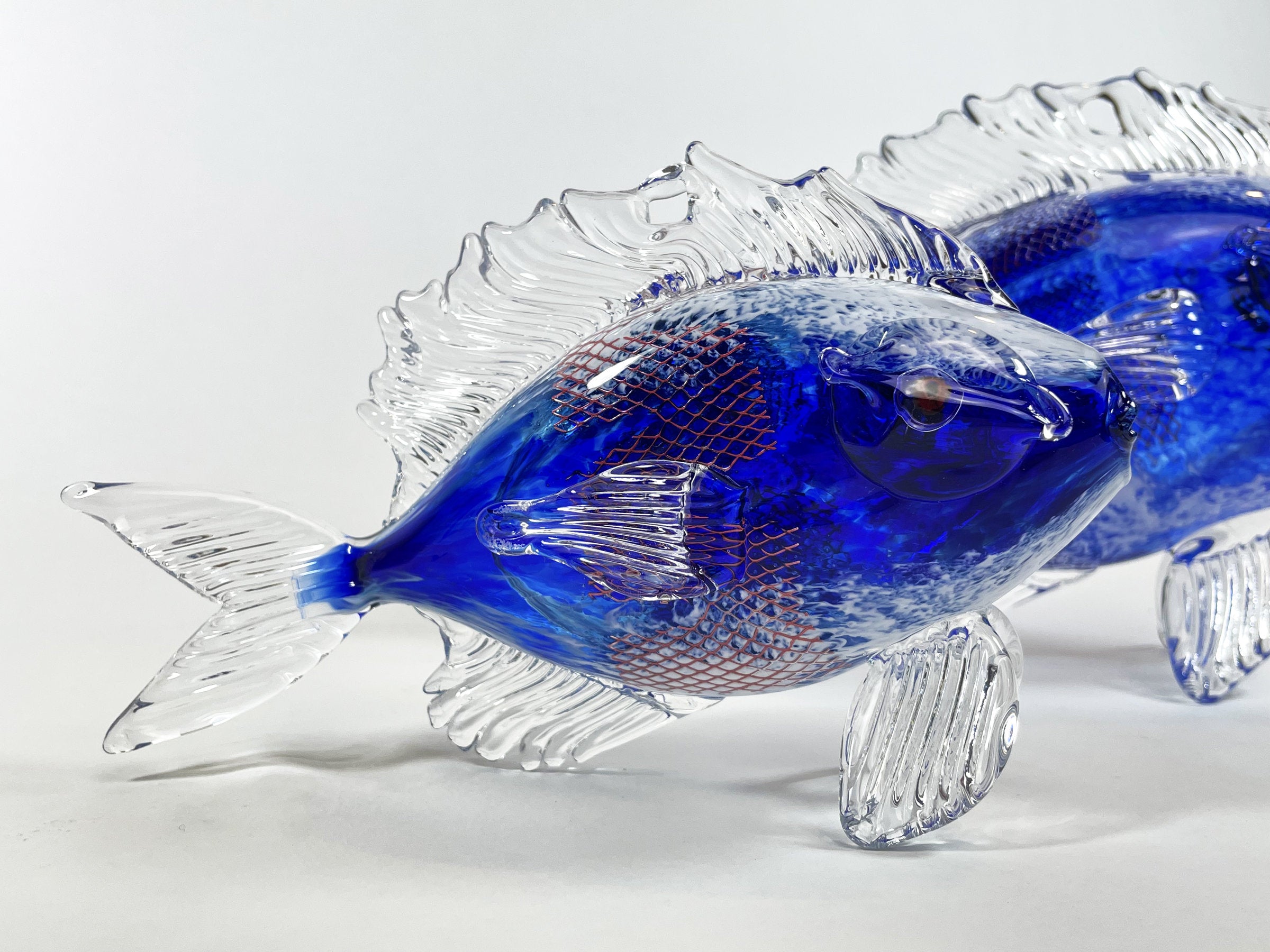 Copperfish