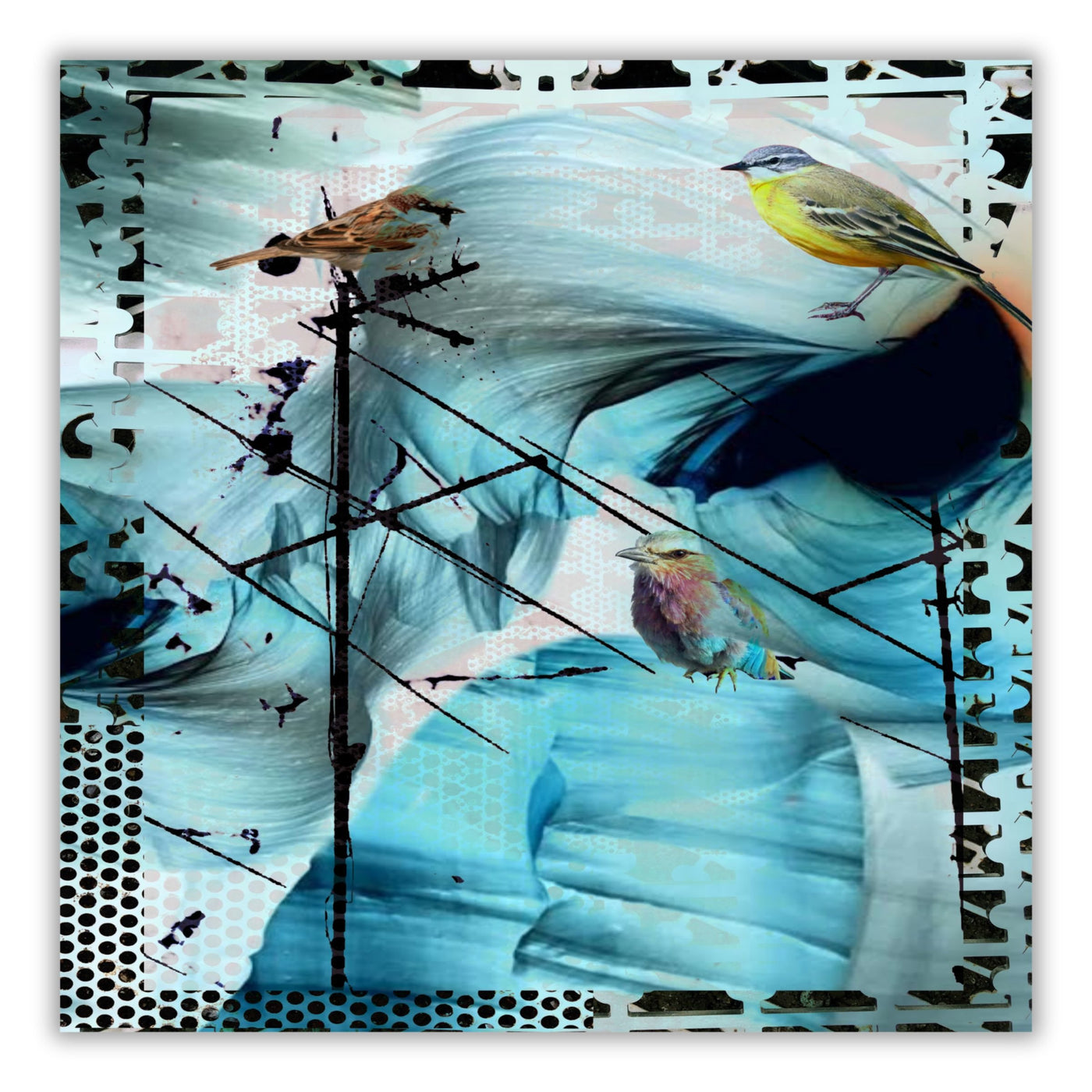 L'Oiseau Bleu Silk Modal Scarf