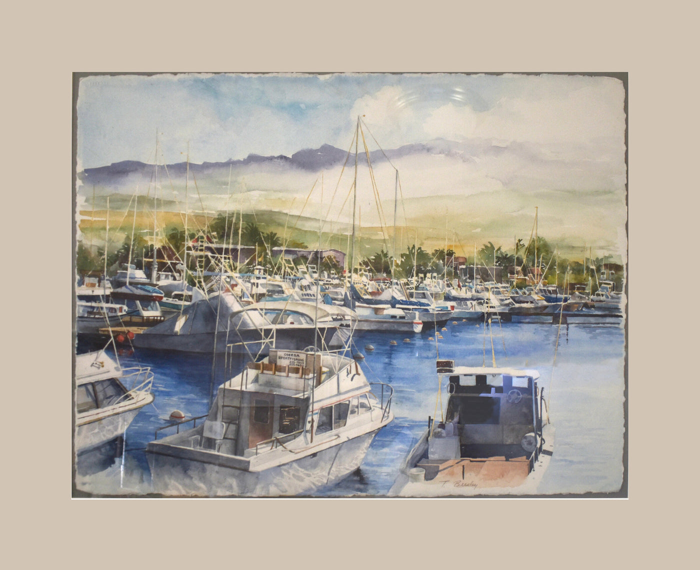 Boats at Rest in Paradise