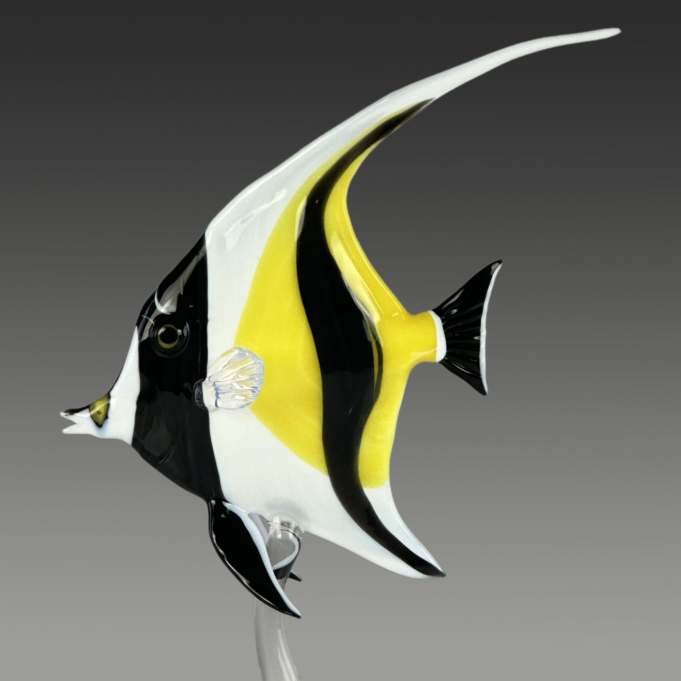 Moorish Idol
