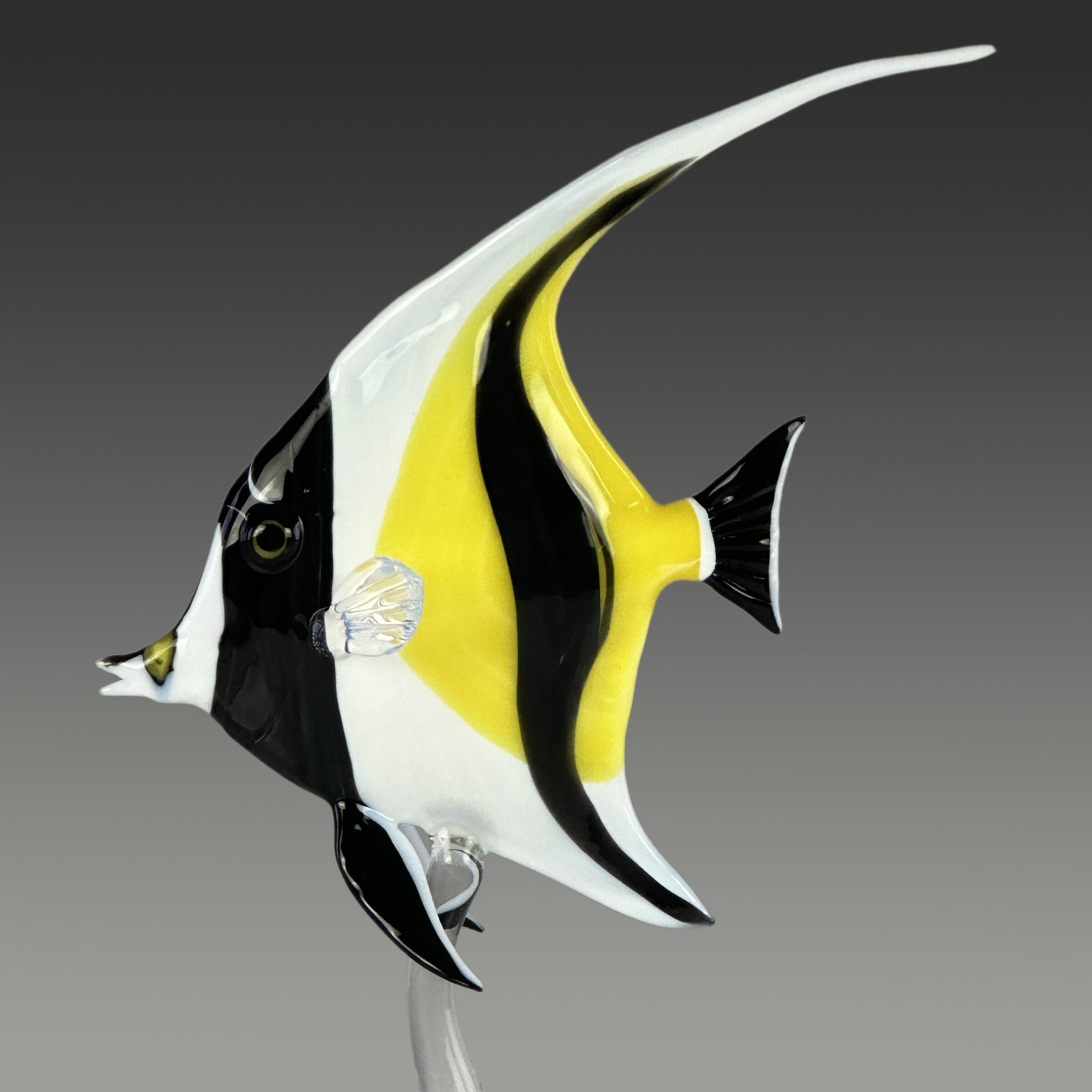 Moorish Idol