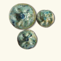 Laguna Series in Warm Aqua
