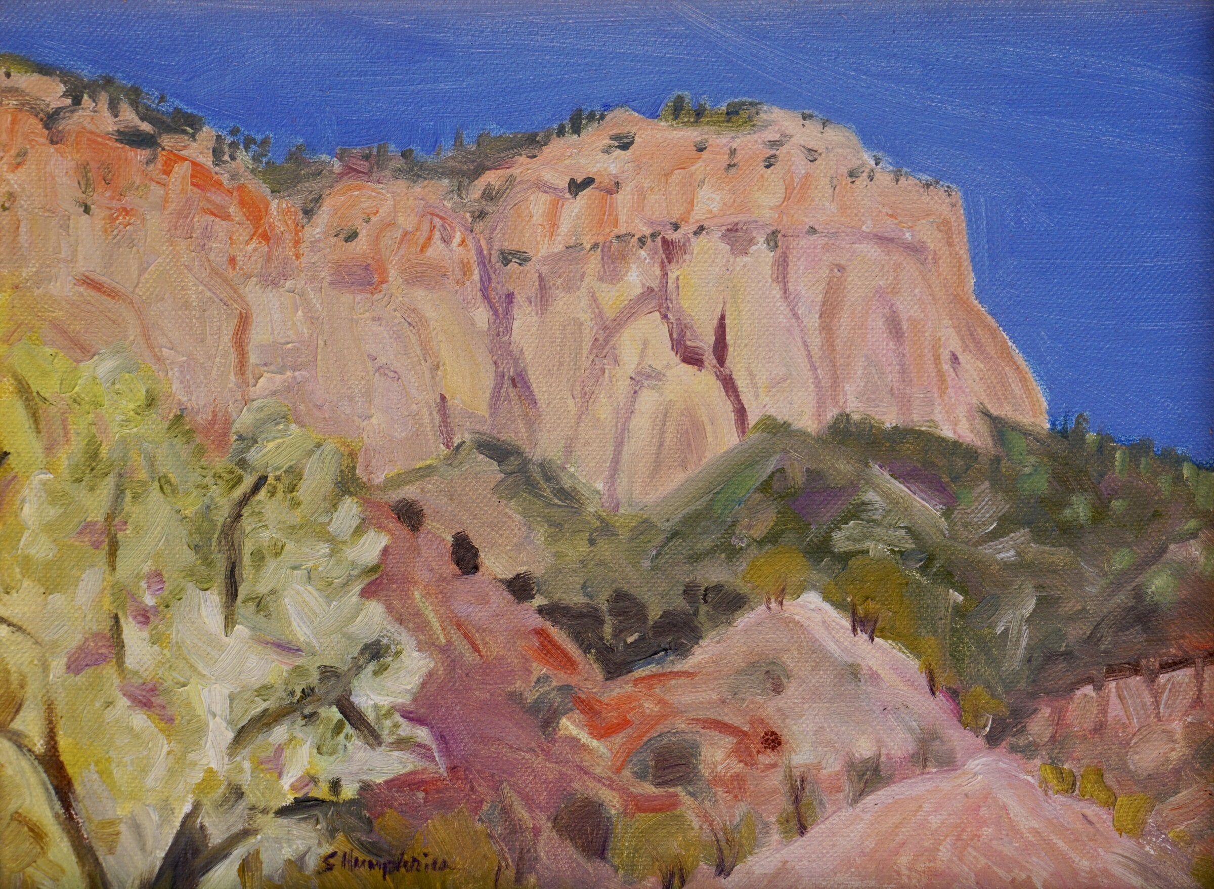 Jemez Summer #1