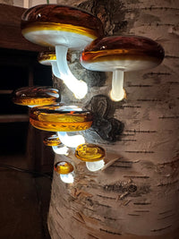 Shelf Mushroom Lamp
