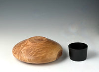Ikebana of Maple Burl 2