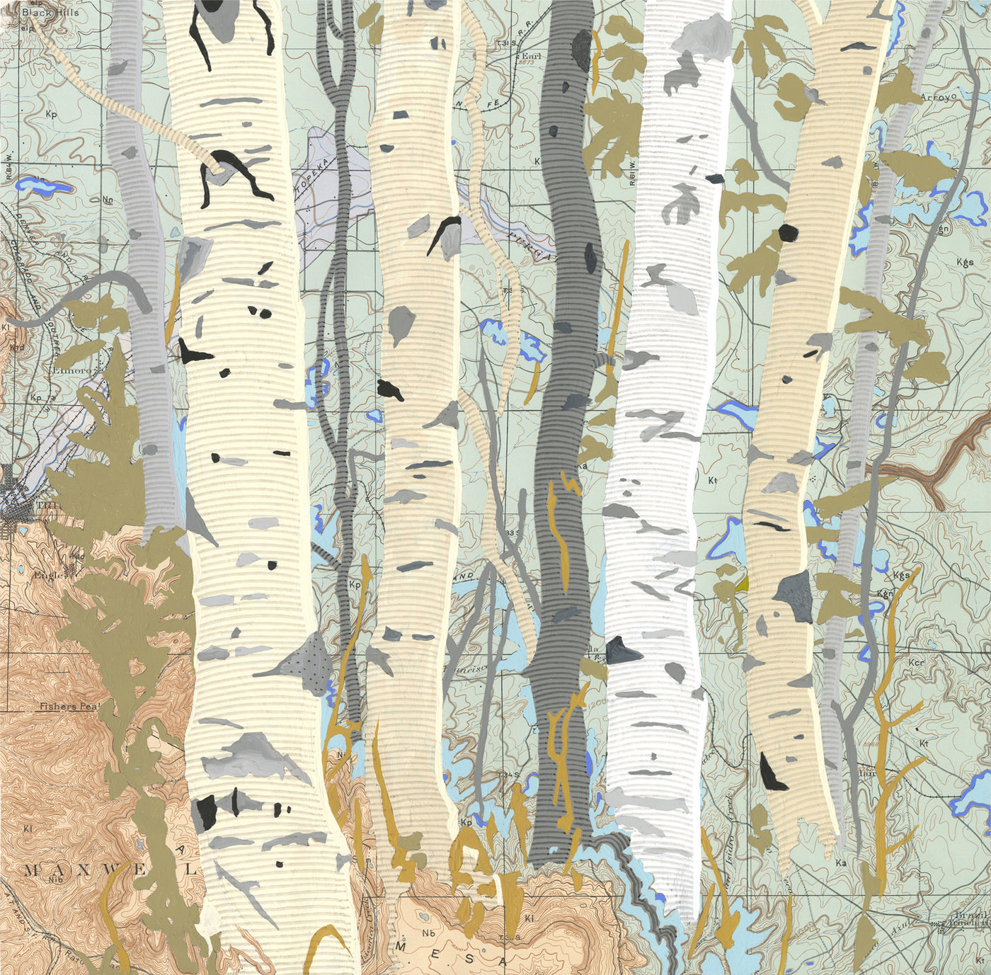 Aspen Map Two
