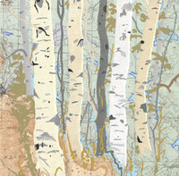 Aspen Map Two
