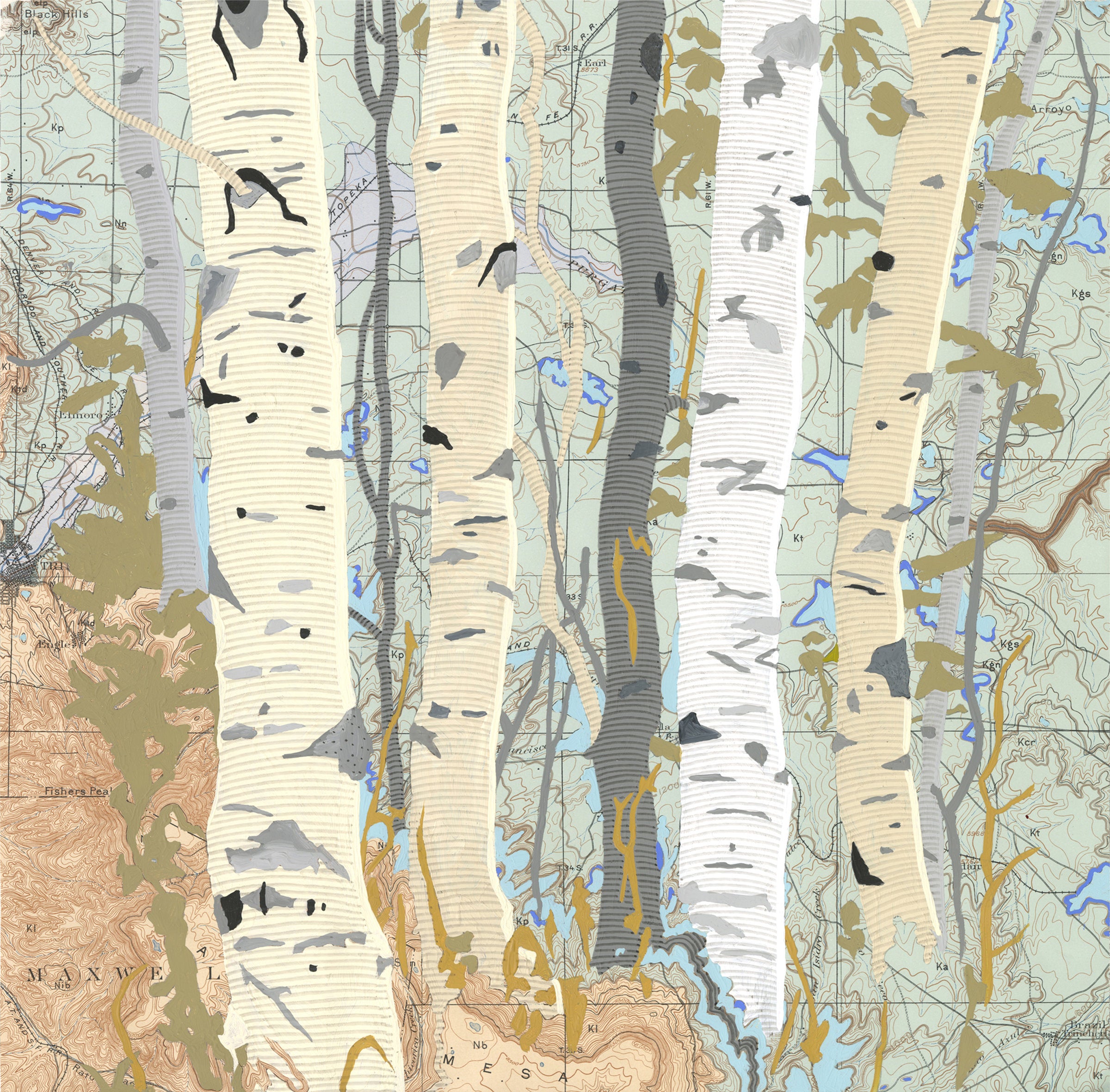 Aspen Map Two
