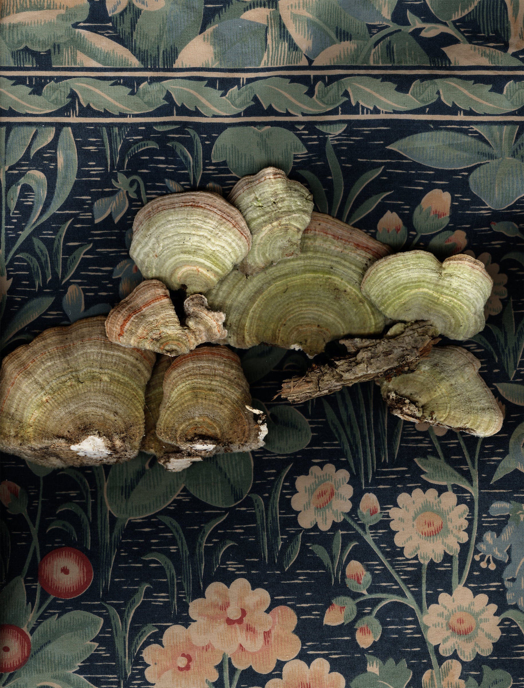 Mushrooms on Textile