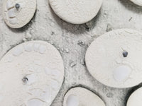  White Disks