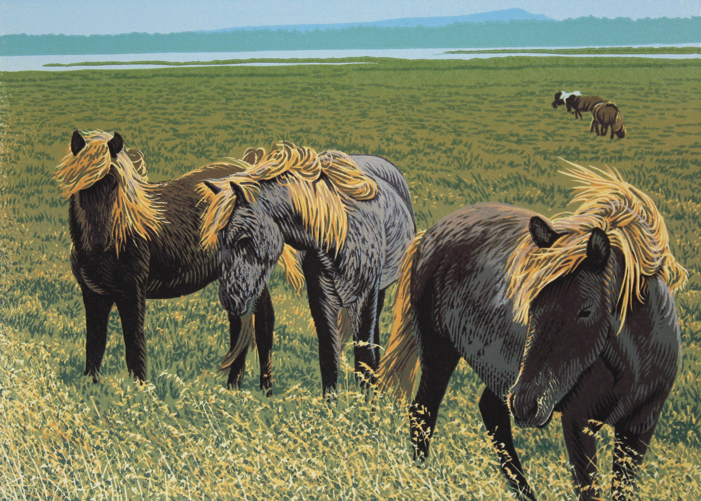 Fallegir Hestar (Beautiful Horses)