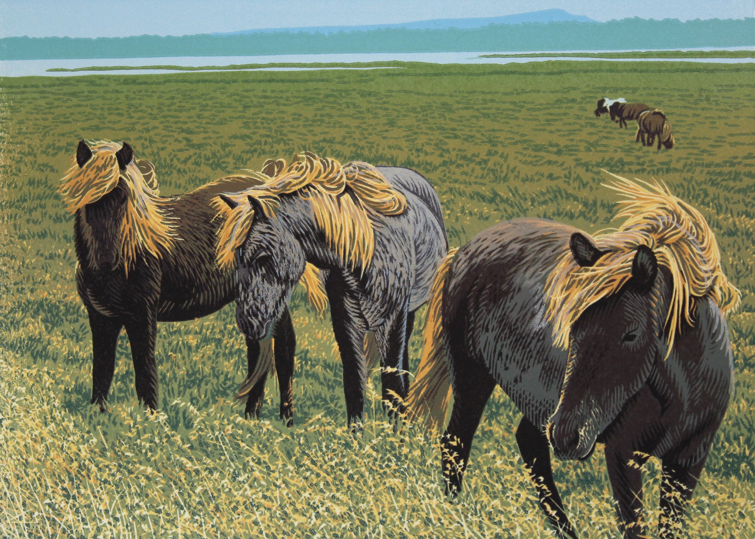 Fallegir Hestar (Beautiful Horses)