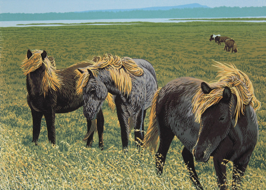 Fallegir Hestar (Beautiful Horses)