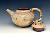 Homage to Earth Teapot