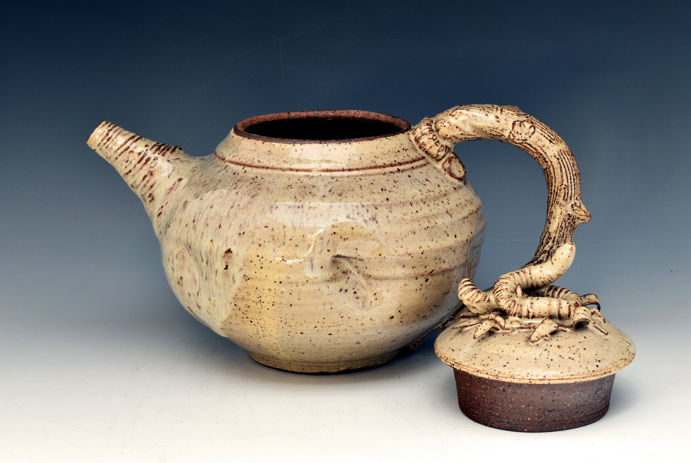 Homage to Earth Teapot