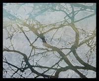 Sea Ice