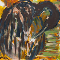 Anhinga