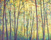 Saccades XII