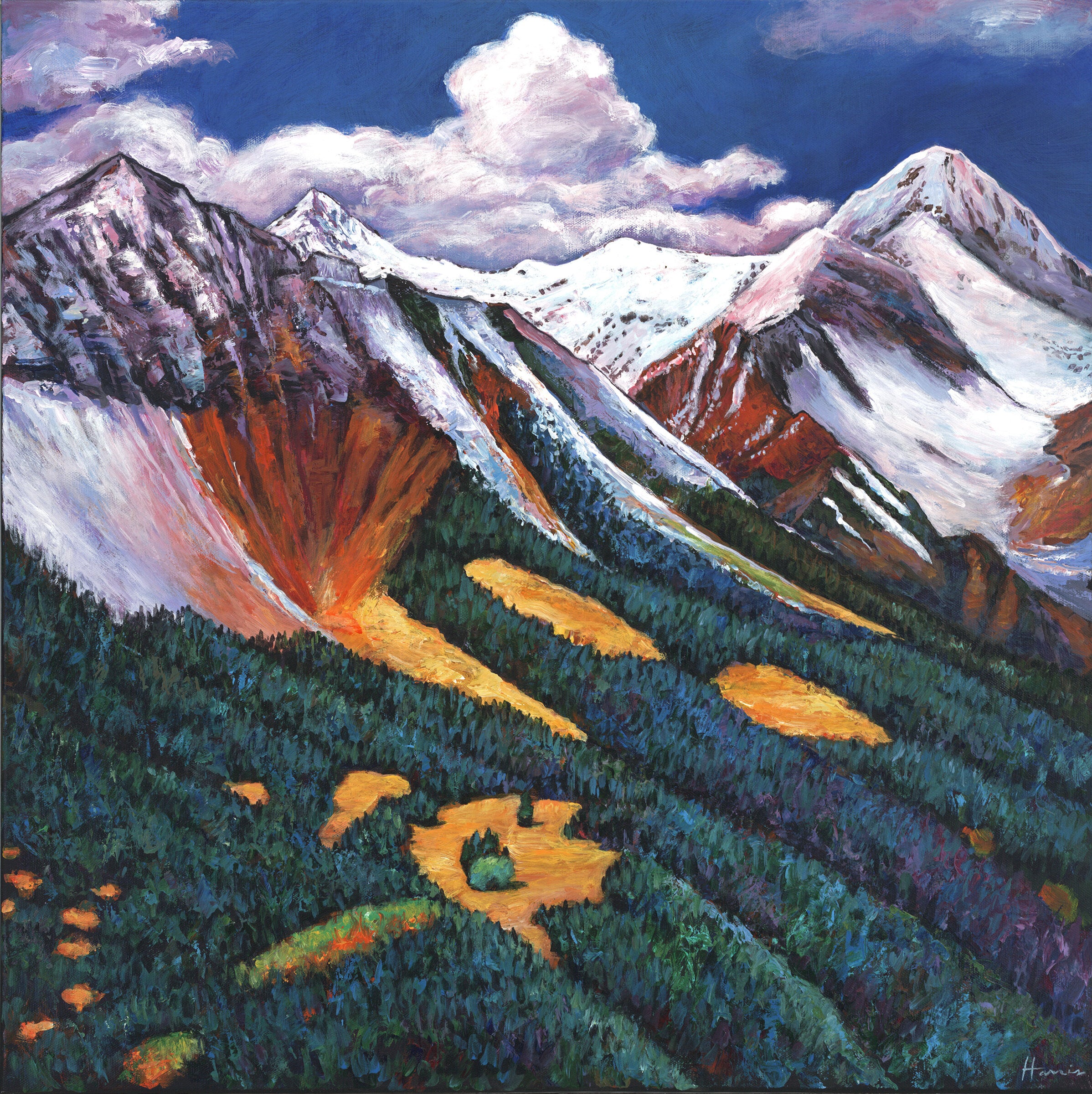Above the Changing Aspen
