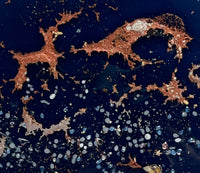 Portal Series: Carina Nebula #4