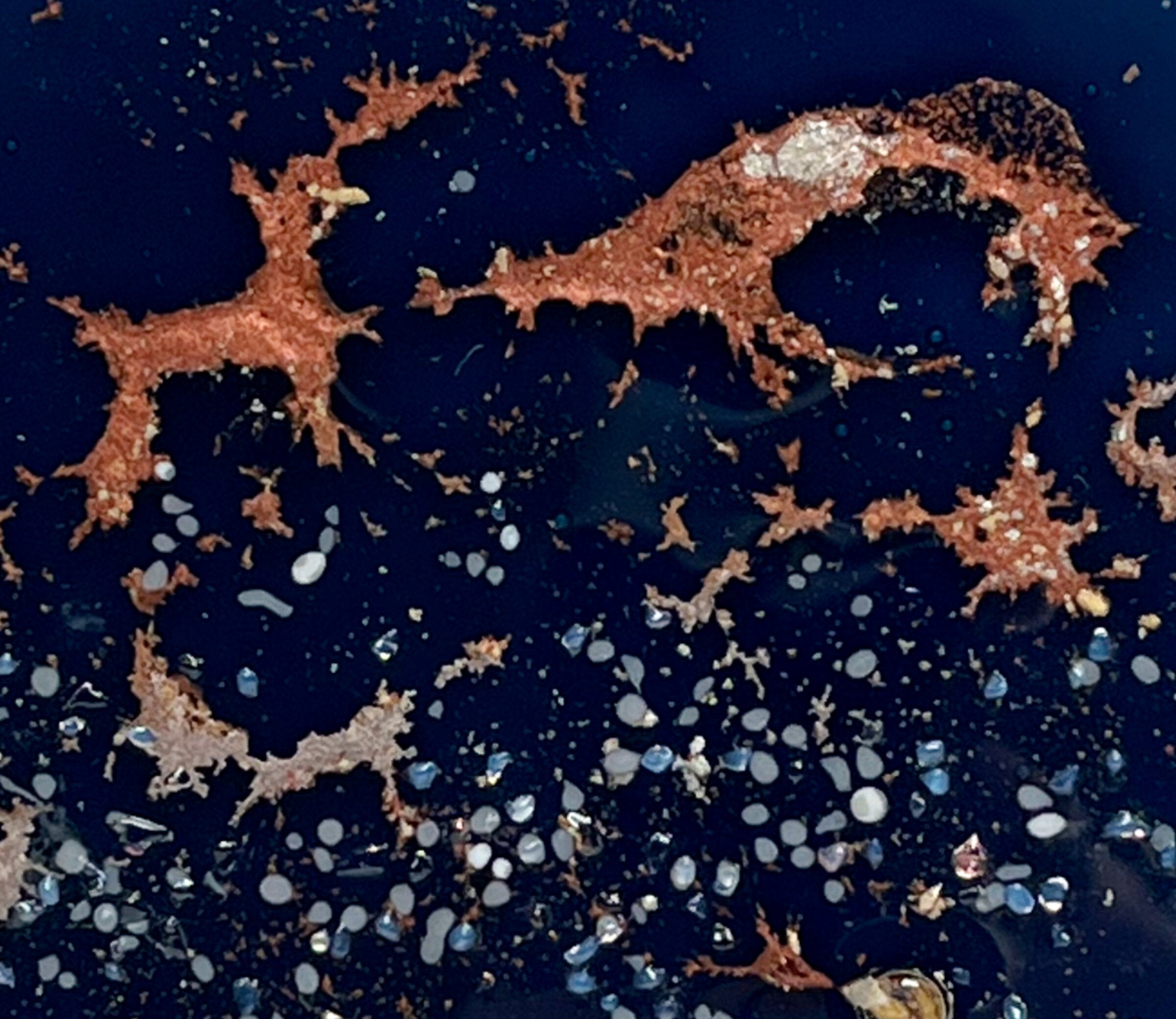 Portal Series: Carina Nebula #4