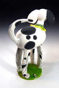 Spots on a Dog